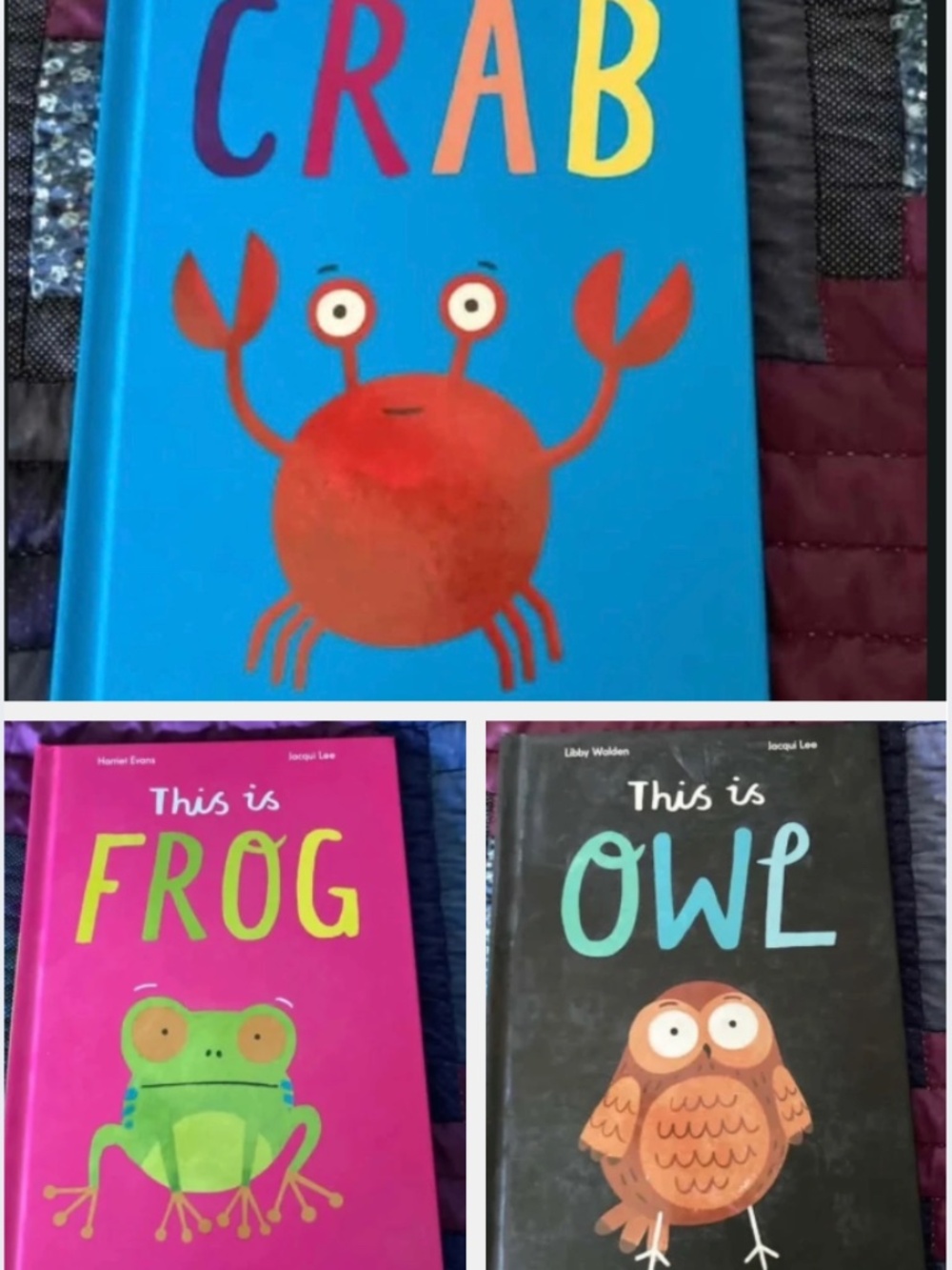 3 Usborne books